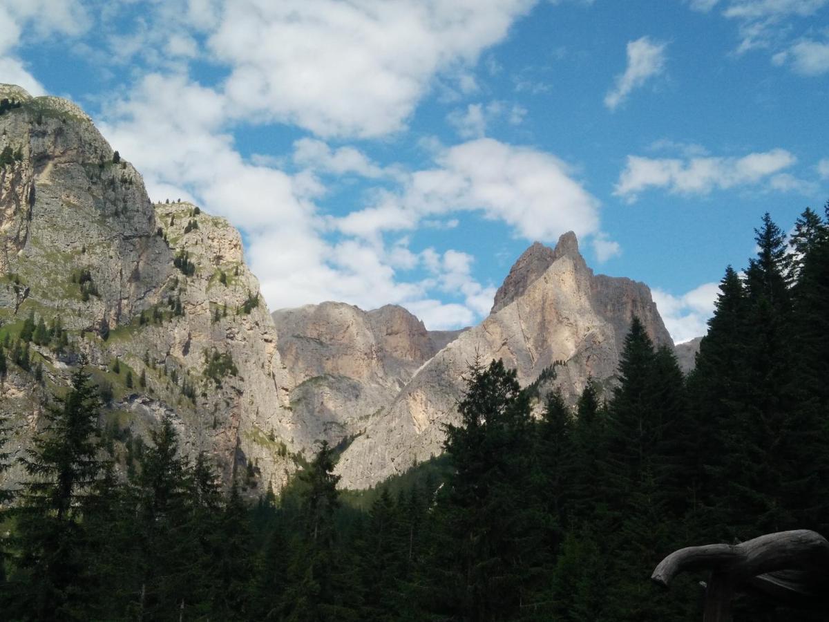 Tschogerhof Dolomiten